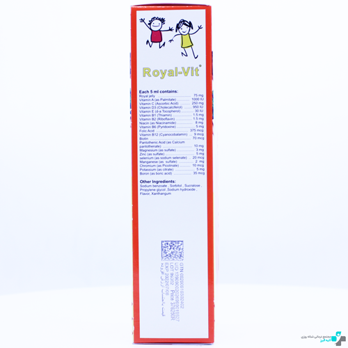 royal vit multivitamin and mineral plus royal jelly syrup