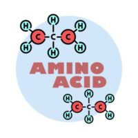 خرید آمینو اسید